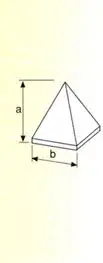 type p